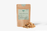 Corypha Umbraculifera Tree Seeds - EX RARE Talipot Palm Seeds for Exotic Gardens & Landscapes | OGOC