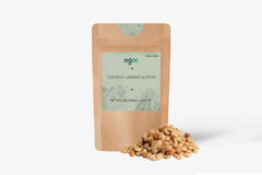 Corypha Umbraculifera Tree Seeds - EX RARE Talipot Palm Seeds for Exotic Gardens & Landscapes | OGOC