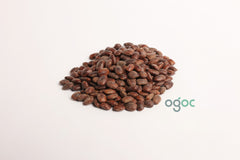 Albizia Saman Plant Seeds - Rare Rain Tree Seeds for Tropical Gardens & Landscapes | OGOC