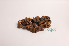 Caesalpinia Coriaria Pod Seeds - RARE Tanners Pod Tree Seeds for Gardening | OGOC