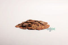 Dalbergia Latifolia Pod Seeds - RARE Indian Rosewood Tree Seeds for Crafting,Planting & Woodworking | OGOC
