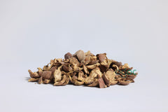 Thanikka Thode (Baheda) - Bellirica, Herb for Wellness & Natural Remedies | OGOC