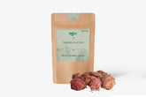 Terminalia Catappa Tree Seeds - Indian Almond Seeds for Tropical Landscapes & Biodiversity | OGOC
