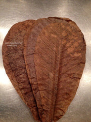 ALMOND dried Leaves - The Giant Indian Almond (Catappa/ Ketapang) LEAVES Aquarium | Fish, Betta | Tropical Almond Umbrella Terminalia| OGOC