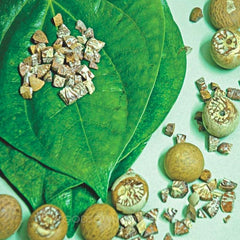 Betel Leaf | Shadow dried Leaves | Betel Leaves | Organic plant leaves| Paan leaves| OGOC