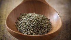 100% Organic Rosemary Seeds | Herb Seeds | Kitchen Plantation | GodsowncountryIN | Seeds Indoor Plant Variety Kitchen Garden Pack 50 GRAMS