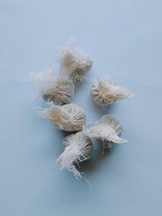 Sesame Seeds (Black) - For Pooja Or Hawan, Kaale Till, Organic Herbs| OGOC