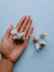 Sesame Seeds (Black) - For Pooja Or Hawan, Kaale Till, Organic Herbs| OGOC