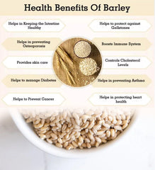 Premium Barley POWDER : Barley Rice powder, Arisi, Hulled Barley, Grits, Flakes, Flour - Nutrient-Rich, Health-Boosting Grains| OGOC