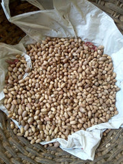 Small Areca Nut - Organic Betel Nut for Traditional Use | Natural Mouth Freshener, Cultural Symbol| OGOC