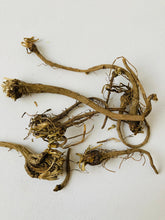 Organic Akarkara Root - Herbal Aphrodisiac, akkikaruka Natural Medicinal Herb for Wellness"| OGOC