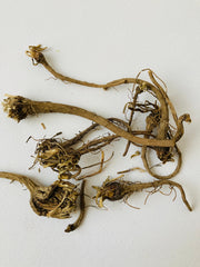 Organic Akarkara Root - Herbal Aphrodisiac, akkikaruka Natural Medicinal Herb for Wellness"| OGOC