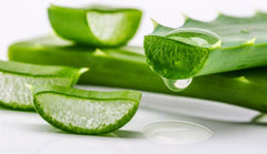 Organic Aloe Vera Leaf Powder: DIY Natural Skincare Essential Bath & BeautySkin CareFacial CareSkin Treatment Masks| OGOC