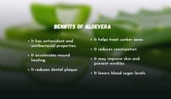 Organic Aloe Vera Leaf Powder: DIY Natural Skincare Essential Bath & BeautySkin CareFacial CareSkin Treatment Masks| OGOC