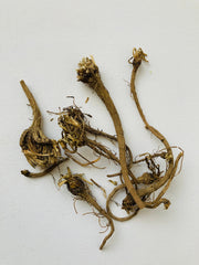 Organic Akarkara Root - Herbal Aphrodisiac, akkikaruka Natural Medicinal Herb for Wellness"| OGOC