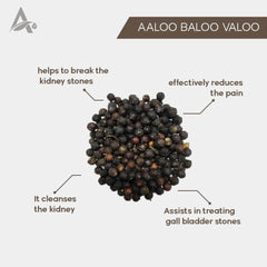 Aluvalu Dried Fruit - Elavaluka (Ayurveda) Dwarf Cherry | Tart Cherry, Herbal Use Only"| OGOC