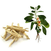 Ashwagandha Dried Roots - Withania Somnifera | Amakuru Herbal Remedy for Natural Wellness"| OGOC