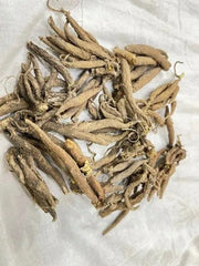 Dried Stems - Fritillaria roylei, Lilium polyphyllum,kakooli, Roscoea purpurea | Himalayan Medicinal Herbs| OGOC