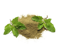 Holy Basil RAW Thulasi Leaf Powder - Organic Herbal Supplement"| OGOC