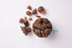 Neem Veppai Turakabevu Azadirachta Indica Gum, also known as Neem Gum or Narum Pasha | OGOC