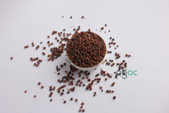 Embelia Ribes Seeds (Vizhalari / Vilal) – Natural Herbal Remedy Seeds | OGOC