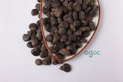 Semecarpus anacardium - Cherkuru/Bhilawa | Rare Medicinal Herb for Herbal Use Only| OGOC