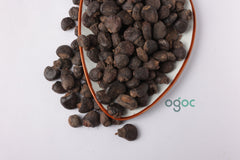 Semecarpus anacardium - Cherkuru/Bhilawa | Rare Medicinal Herb for Herbal Use Only | OGOC