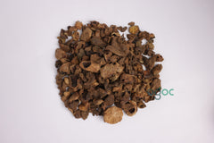 Kakrashingi (Pistacia integerrima) Kakra Singhi kakra, singhi, kakadasinghi, pistacia, integerrima, zebrawood | OGOC