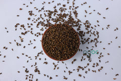 Cassia Tora Seeds (Chakramard) Ayurvedic Herb for Skin & Digestive Health | OGOC