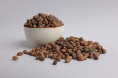 Croton Penduliflorus Seeds - (NEERVALAM) Aworoso Seed, Croton Tiglium Seed, Habbatul Muluk, Jamalgota Medicinal Seeds for Herbal Healing