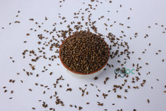 Cassia Tora Seeds (Chakramard) Ayurvedic Herb for Skin & Digestive Health | OGOC