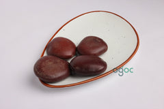 Kakkumkaya Seeds - Entada rheedii | Symbol of Good Luck | Rare Plant Seeds for Prosperity and Positive Energy | OGOC