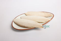 Cuttlebone (Kadal Nakku) RAW Natural Calcium Source for Birds Cuttle fish Bone Calcium Ideal Minerals | Beach Finds | Bird Feed | OGOC