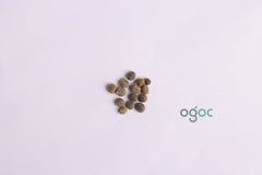 Elephant tusk okra seeds - Aanaikomban, Bhindi, Vegetable Seeds / Organic Fresh seeds from own garden| OGOC