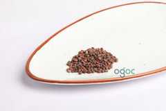 Radish Purple Sango Seeds - big root, daikon radish, white radish, winter radish, Oriental radish, long white radish, Fresh seeds| OGOC