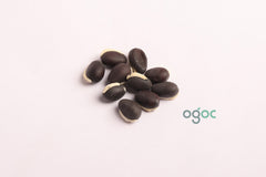 Broad beans seeds - Field Bean, Faba Bean, Bell Bean, Tic Bean, vegetable seeds, kitchen plantation| OGOC