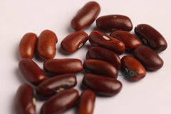 Purple beans seeds - Indian Heirloom seeds, Canavalia gladiata, scimitar bean| OGOC