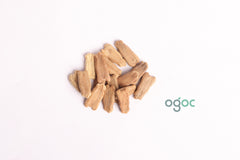 Round Bottle Gourd Seeds - bottle squash, Doodhi, Lowki | Vegetable Seeds | Heirloom | Organic Ex Rare Bread | Kitchen Plantation| OGOC