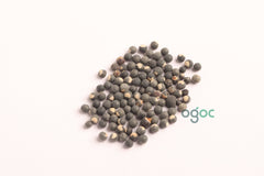 Balloon vine seeds - Cardiospermum Halicacabum Seeds, Mudakathan keerai, vegetable seeds, kitchen plantation| OGOC