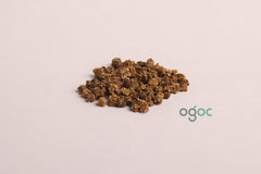 Beetroot Seeds - beet root, chard, European sugar beet, red garden beet, Harvard beet, blood turnip, maangelwurzel, mangel, spinach beet