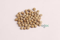 Turnip purple top white globe seeds - Turnip golden ball ( Heirloom), Brassica rapa, Vegetable seeds, Kitchen plantation| OGOC