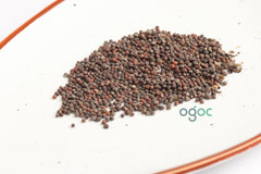 TITHONIA RED seeds - MEXICAN sunflower seeds,rotundifolia, sunflower family Asteraceae, ornamental plant, Flower seeds, Gardening plantation