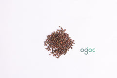 Brussels sprout Seeds - vegetable seeds, cole crop family (Brassica oleracea), kitchen plantation| OGOC