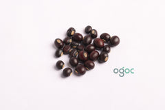 Purple Winged beans seeds - Indian Heirloom seeds, Canavalia gladiata, scimitar bean| OGOC