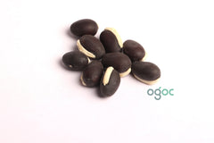 Broad beans seeds - Field Bean, Faba Bean, Bell Bean, Tic Bean, vegetable seeds, kitchen plantation| OGOC