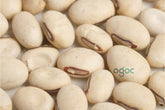 Sword beans seeds - Indian Heirloom seeds, Canavalia gladiata, scimitar bean| OGOC
