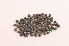 Balloon vine seeds - Cardiospermum Halicacabum Seeds, Mudakathan keerai, vegetable seeds, kitchen plantation| OGOC