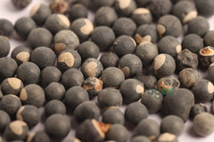 Balloon vine seeds - Cardiospermum Halicacabum Seeds, Mudakathan keerai, vegetable seeds, kitchen plantation| OGOC