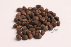 Water Spinach seeds - Thai Kangkong, Ipomoea aquatica, Leaf Green Spinach, Organic Vegetable Seed, Amaranthus Leaf, Cheera Seed| OGOC