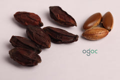 Miracle Fruit Seeds - (10 Seeds) Extra Rare Organic Variety for Home Growing